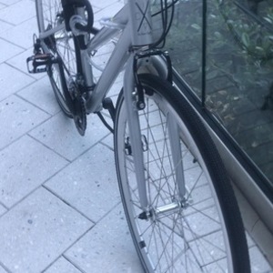 2020 Loco Cycles Step-Thru Sport Silver, gray or bare metal