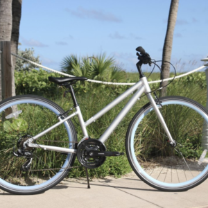 2020 Loco Cycles Step-Thru Sport | The LuLu Silver, gray or bare metal