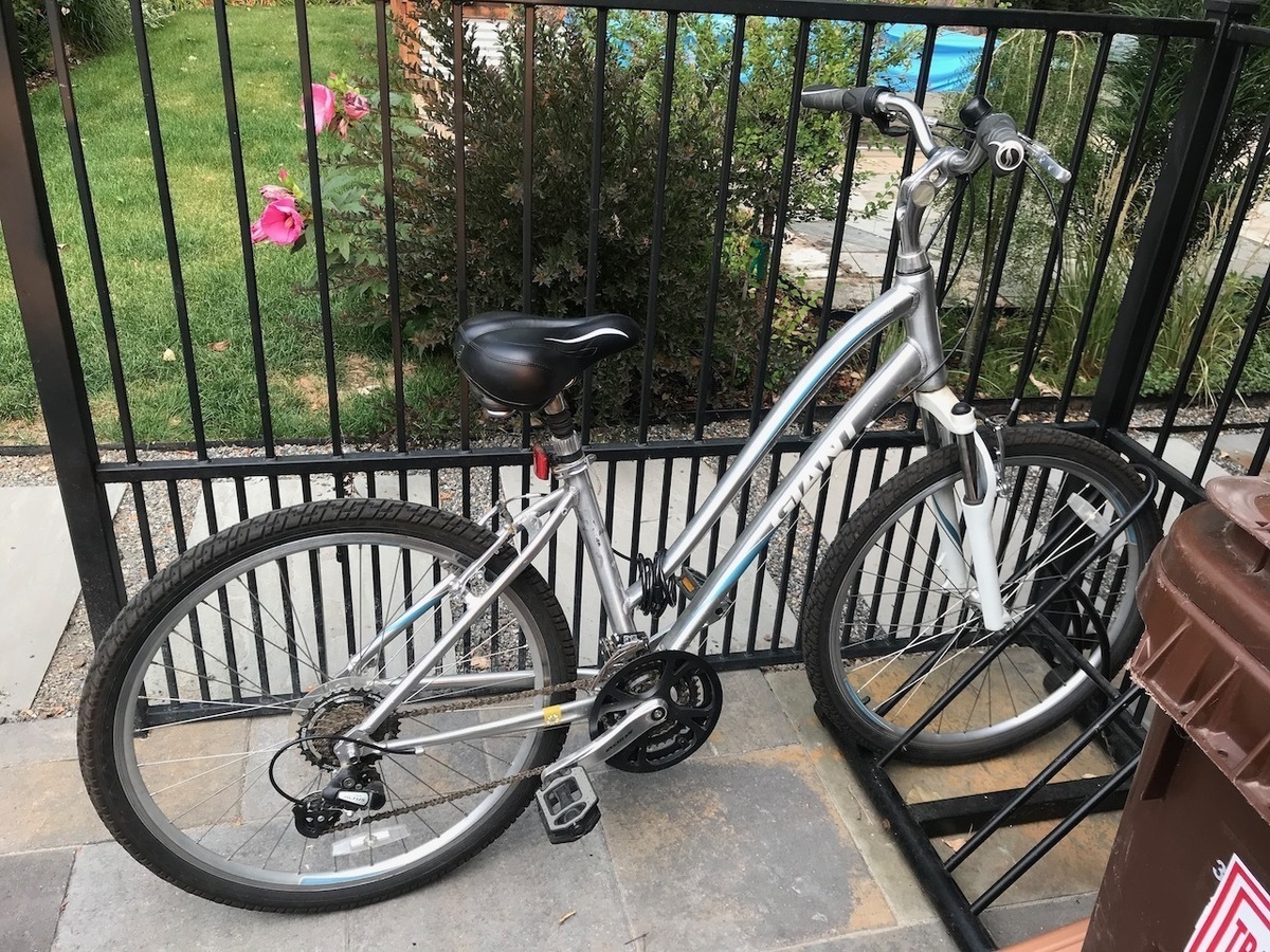 2010 Giant Sedona W (Silver/Blue)