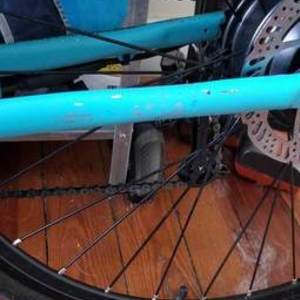 Genesis Black and Teal