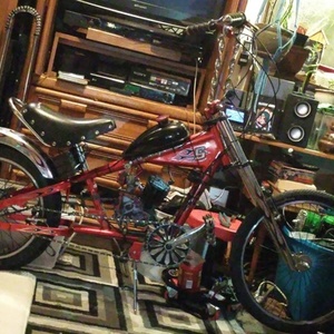 2015 Schwinn Sting Ray Red