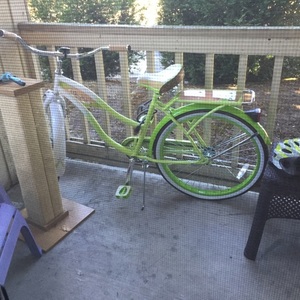 2012 Huffy 56534P7 Green and White