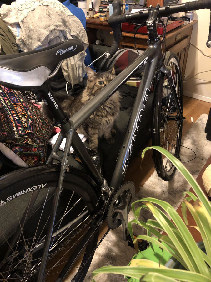 Bike photo