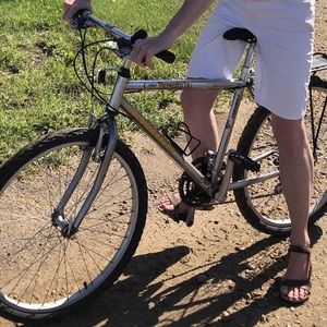 2001 Raleigh Tarantula Silver, gray or bare metal