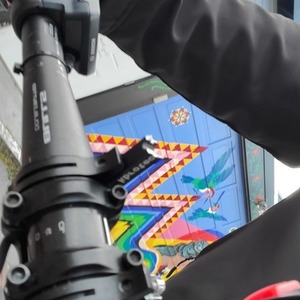 2019 BULLS Bikes URBAN EVO Black