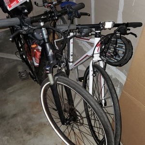 2019 BULLS Bikes URBAN EVO Black
