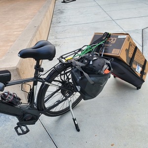 2019 BULLS Bikes URBAN EVO Black