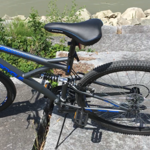 2020 Supercycle Mountain bike, Dual Suspension Mounta... Silver, gray or bare metal