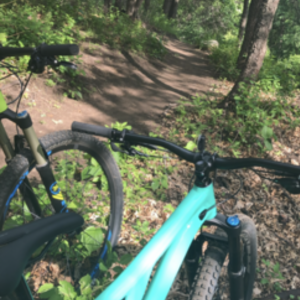 2019 Specialized Stumpjumper Teal