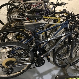 Schwinn Frontier Silver, gray or bare metal