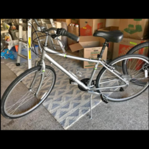 2020 Raleigh Silver, gray or bare metal