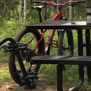 2019 Salsa Timberjack Red