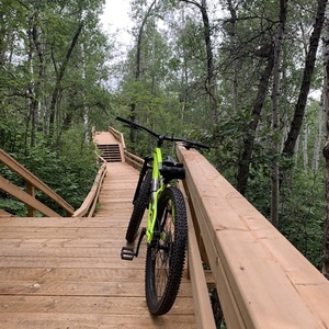 2020 Salsa Timber jack slx Green