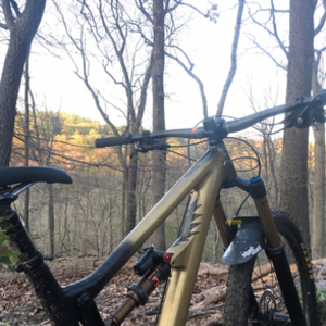 2017 Santa Cruz Hightower Black and Yellow or Gold