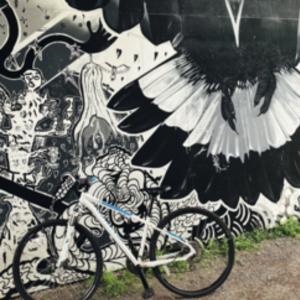 Specialized Ariel White and Blue