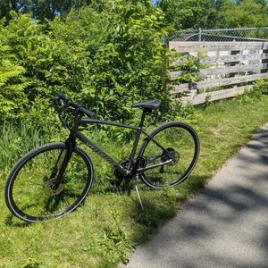 2019 Specialized Sirrus Silver, gray or bare metal