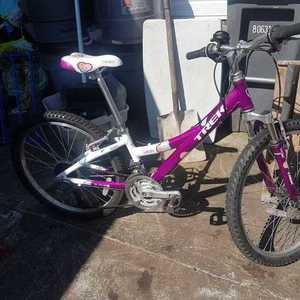 2011 Trek Purple and White