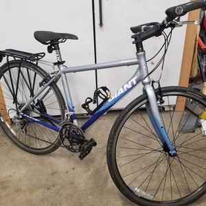 2009 Giant FCR 1 Silver, gray or bare metal