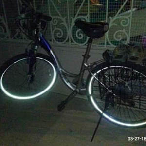 Trek Navigator 200 Blue and Silver, gray or bare metal