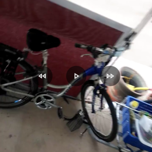 Trek Navigator 200 Blue and Silver, gray or bare metal