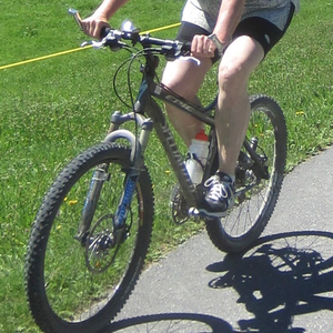 Specialized Epic Silver or Gray