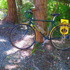 1992 Schwinn Crosspoint Green