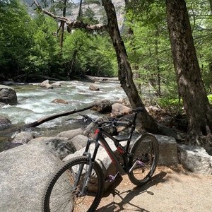 2019 Specialized Stumpjumper Black