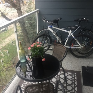 Supercycle Supercycle Nitro XT White and Blue