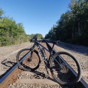 2021 Trek Marlin 7