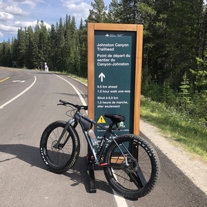 2020 Cannondale FATCAAD1 Silver, gray or bare metal