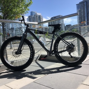 2020 Cannondale FATCAAD1 Silver, gray or bare metal