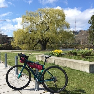 2018 Specialized Diverge Teal