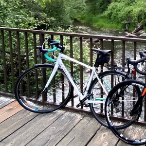 2016 Trek Lexa SL White and Teal