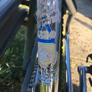 1986 Mongoose Pro Class 24 Silver, gray or bare metal