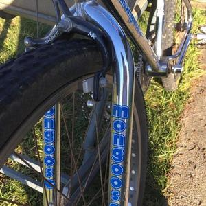 1986 Mongoose Pro Class 24 Silver, gray or bare metal