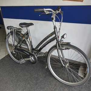 Gazelle Medeo Track and Trail Silver, gray or bare metal