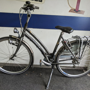 Gazelle Medeo Track and Trail Silver, gray or bare metal