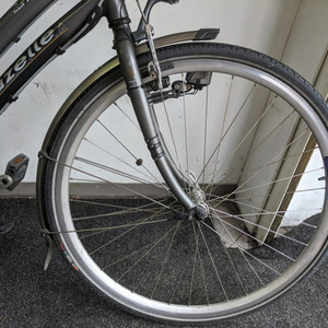 Gazelle Medeo Track and Trail Silver, gray or bare metal