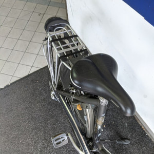 Gazelle Medeo Track and Trail Silver, gray or bare metal