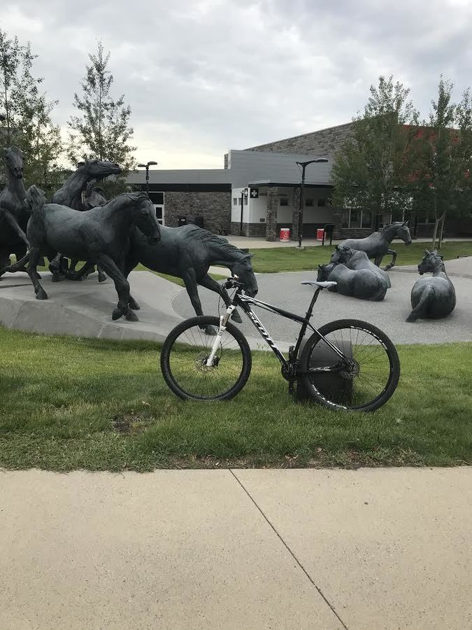 Bike photo