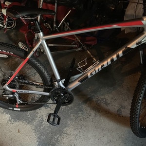 2019 Giant Silver, gray or bare metal and Red