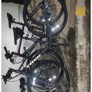 2020 Trek Alpha Gold Aluminum Silver, gray or bare metal