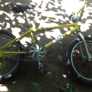 S and M Holmes xl Yellow or Gold