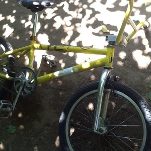 S and M Holmes xl Yellow or Gold