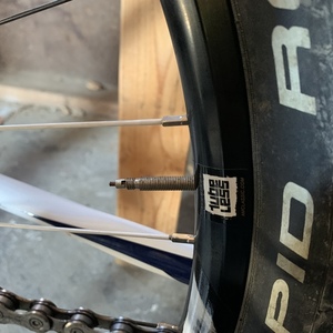 Cannondale Trail Sl 3 White