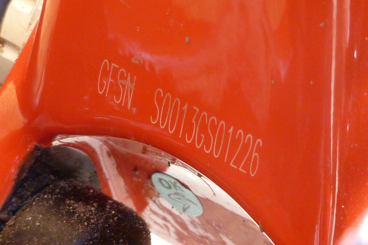 santa cruz juliana furtado