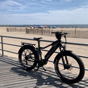 2020 Biktrix Juggernaut Classic Black