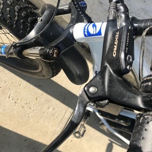 2019 Daymak / Giant Wild Goose E Bike Fat Tire White