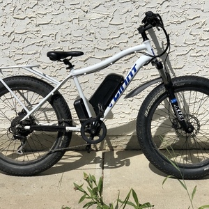 2019 Daymak / Giant Wild Goose E Bike Fat Tire White