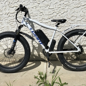 2019 Daymak / Giant Wild Goose E Bike Fat Tire White